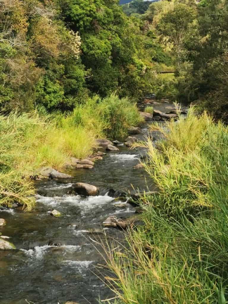 a river in San Marcos de Tarrazu Costa Rica